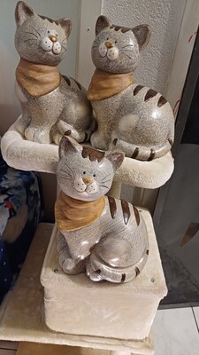 Schöne grosse Katze