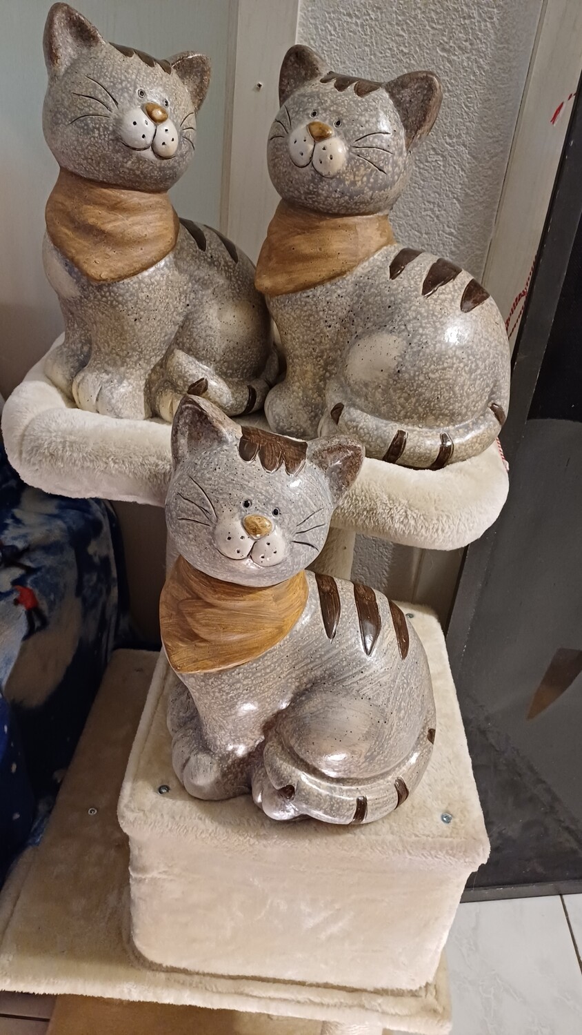 Schöne grosse Katze