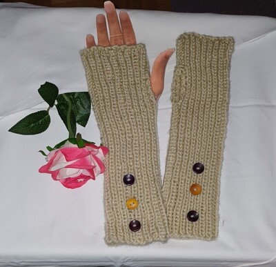 Handschuhe /Mietli