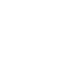 Koasis Digital, LLC