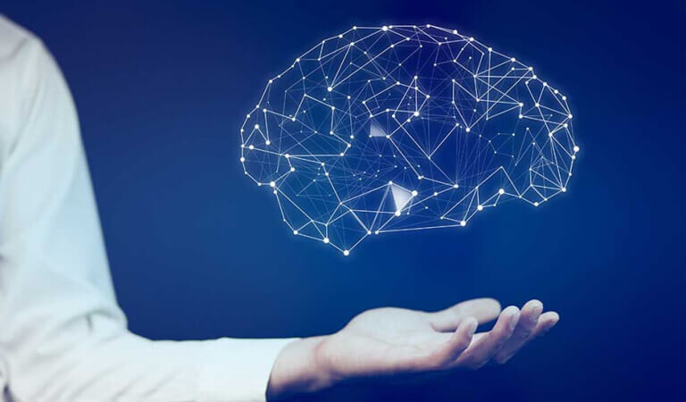 Introduction to neurodevelopment