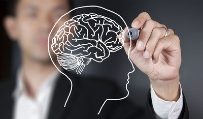 Epilepsy in neurodiverse children