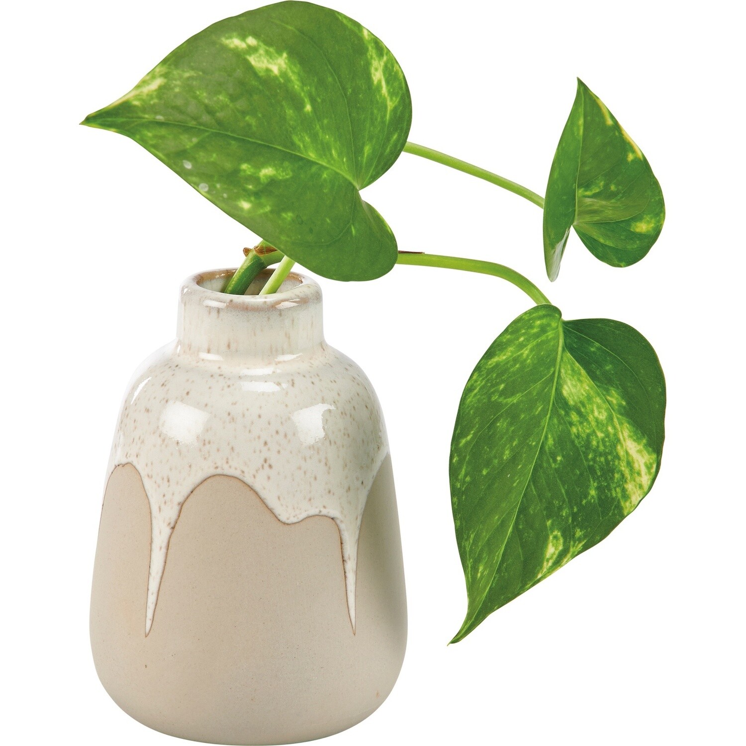 Vase - Drip Decoration