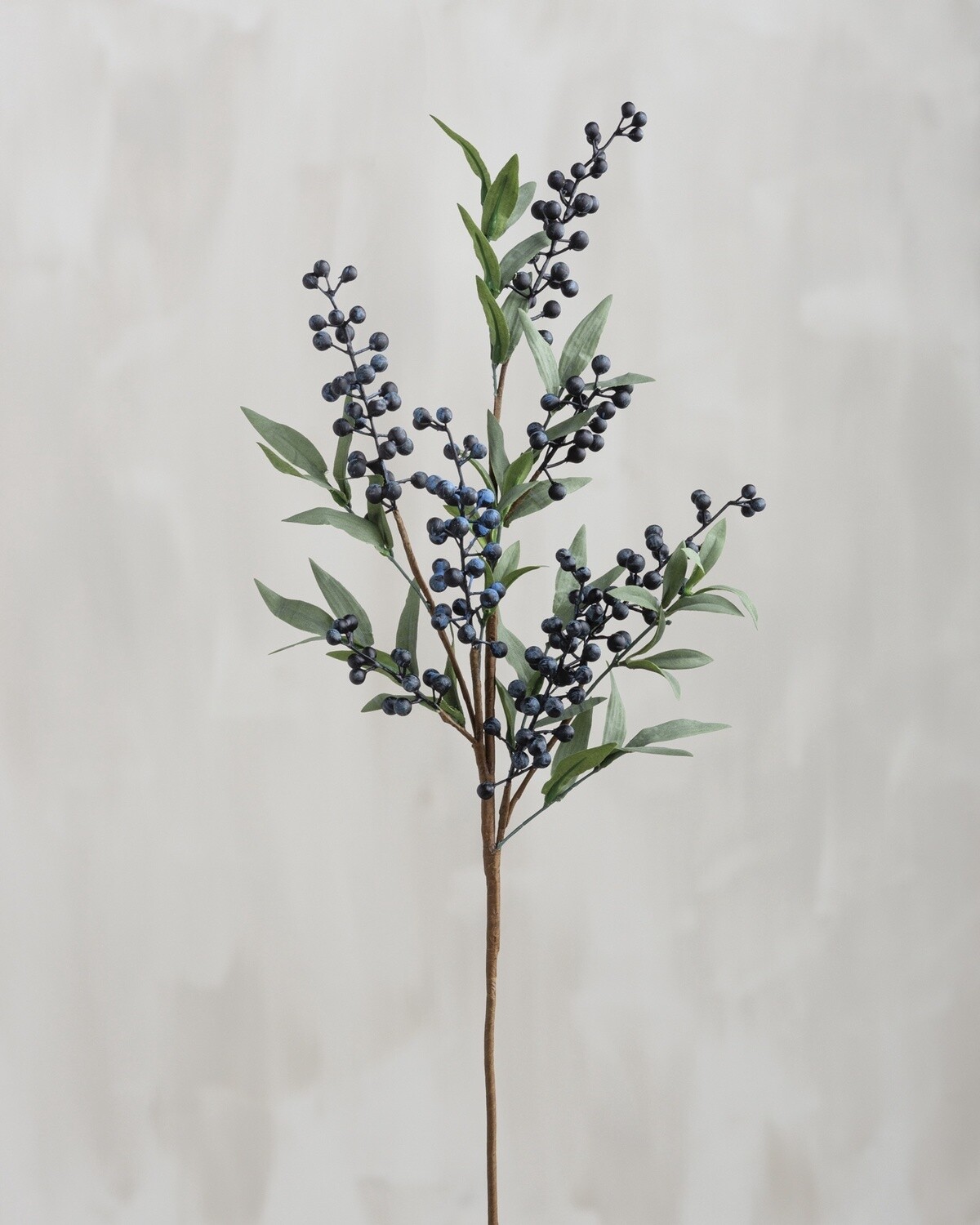 Pick - Blueberries