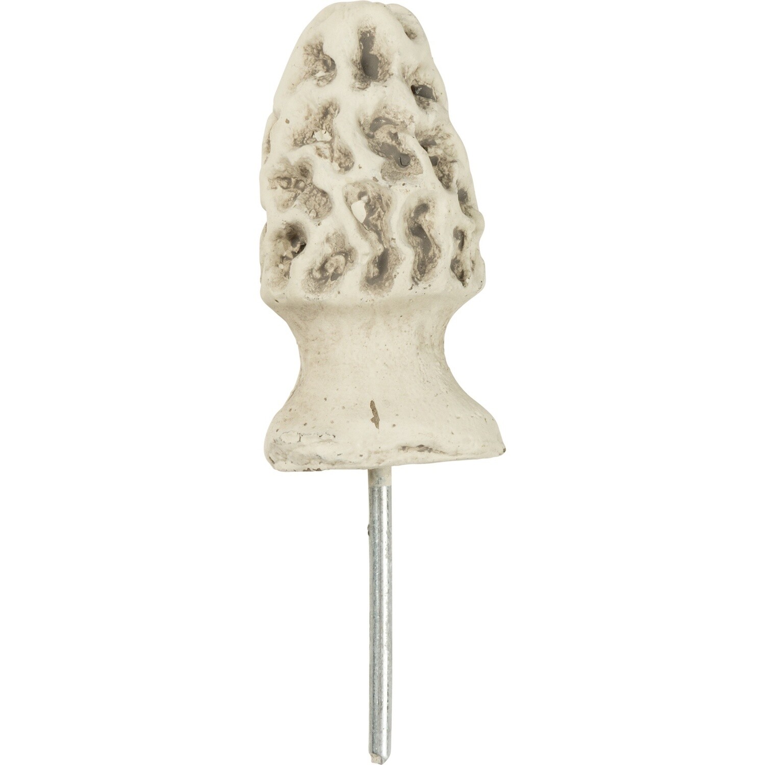 Pick - Morel Mushroom