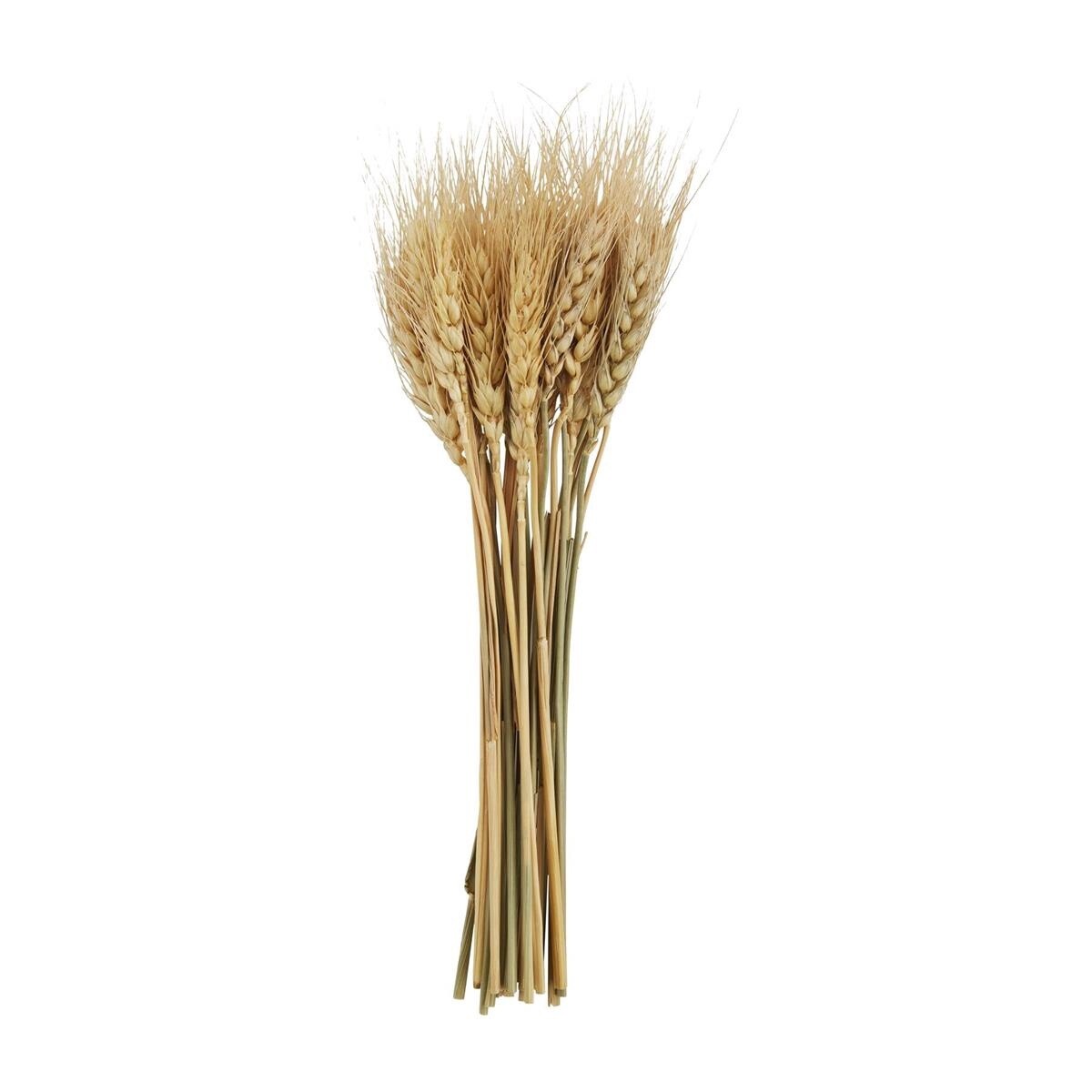 NATURAL SMALL WHEAT BUNDLE