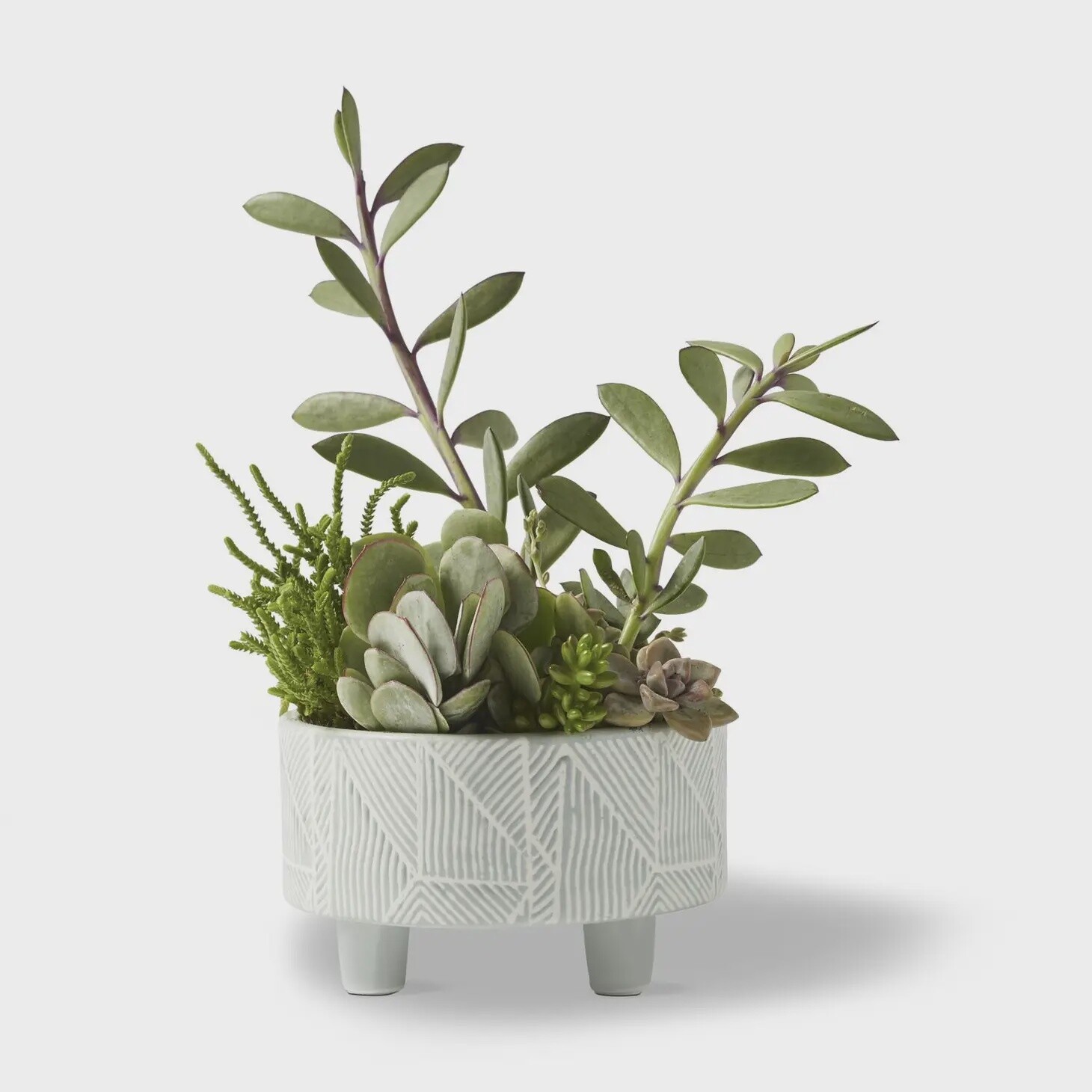 Citrine Geometric Planter Moss
