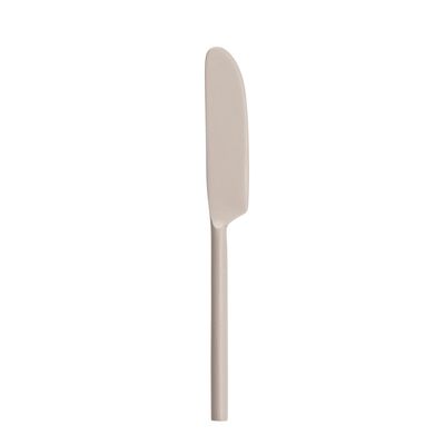 Stainless Steel Cheese Knife