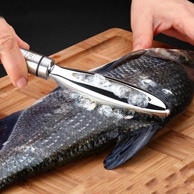 Stainless steel Fish Scales scraper  |  Cleaning, Peeler, Scraper, Fish bone tweezers gadget