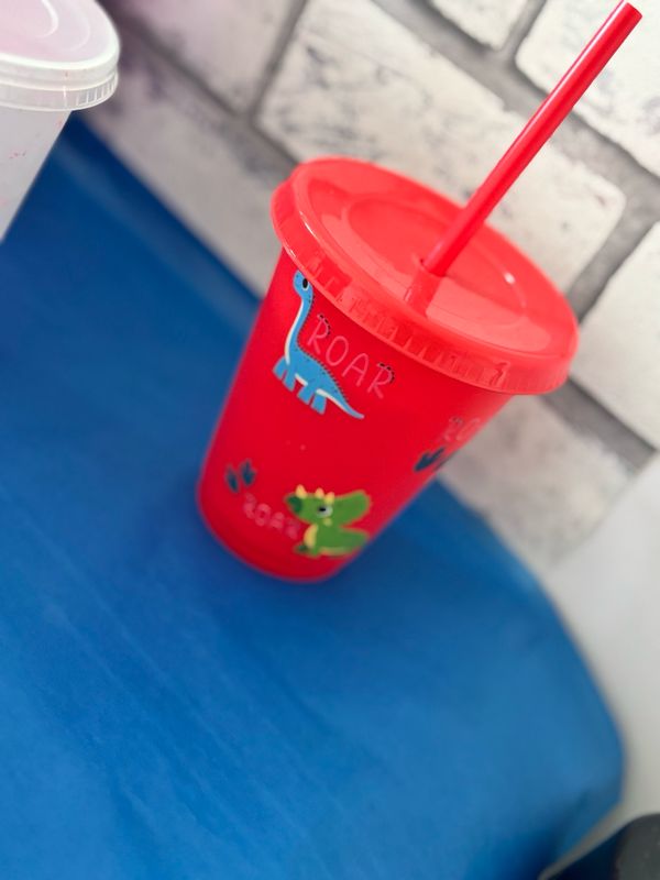 16oz Dinosaur Cup