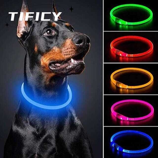 Collier lumineux Led pour animal de compagnie, collier de chat lumineux, pendentif de sécurité clignotant,