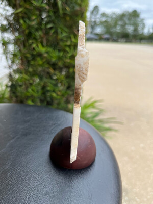 Coconut Chalcedony