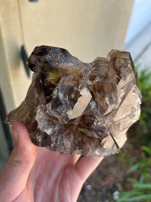 Elestial Smoky Quartz Cluster