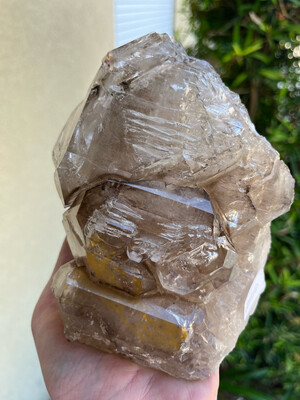 Elestial Smoky Quartz Crystal