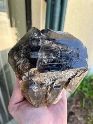 Elestial Smoky Quartz Crystal