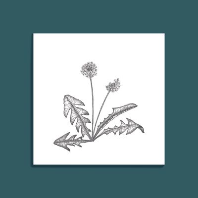 Postkarte Pusteblume