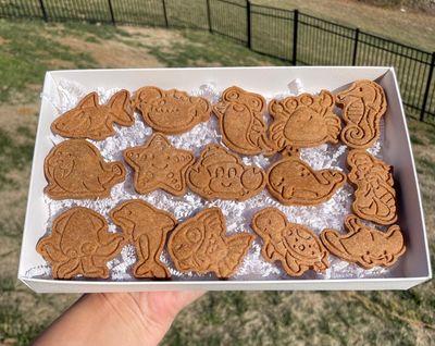 &quot;Under The Sea&quot; Cookie Collection