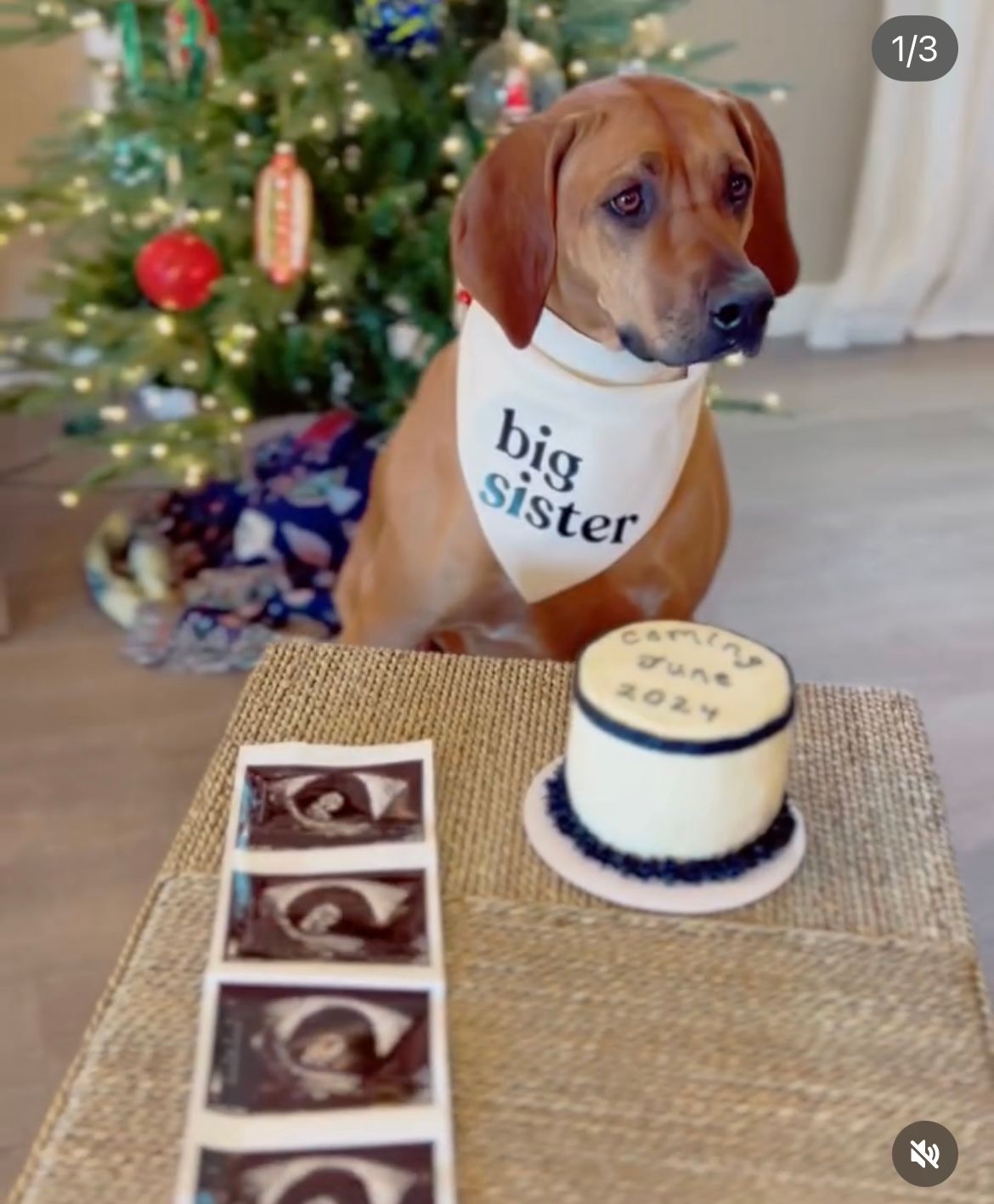 Gender Reveal Cake