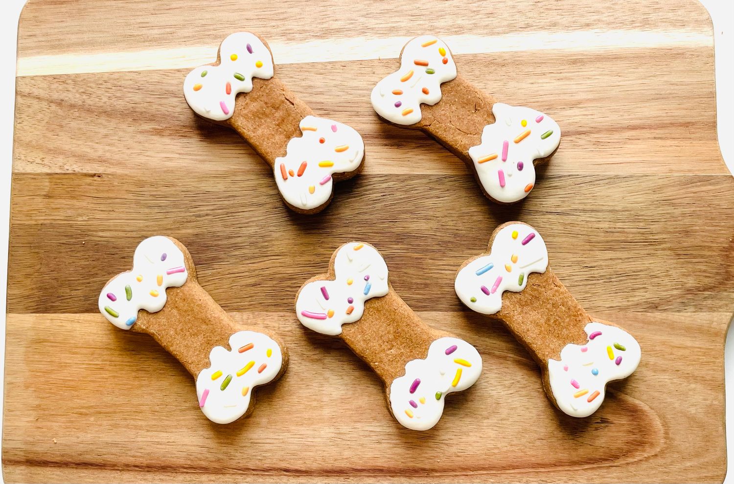 Decorated Peanut Butter Dog Cookies