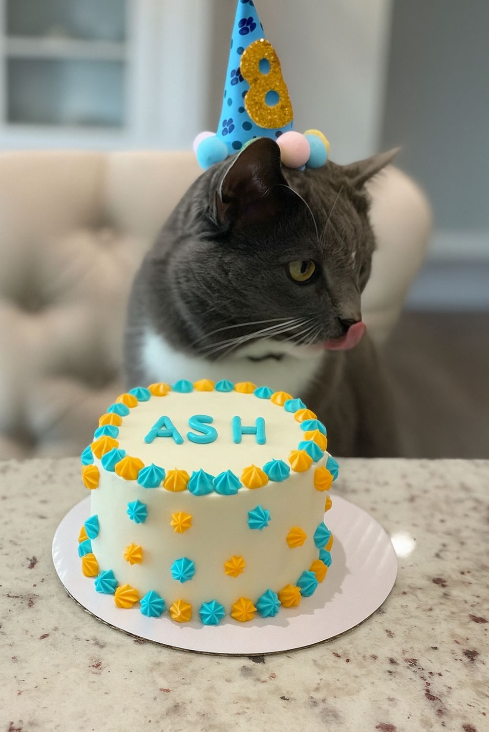 Cat Cake