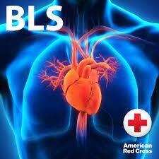 American Red Cross BLS Provider