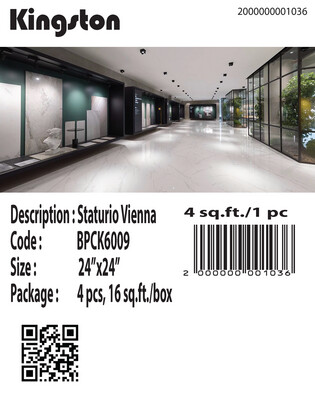 BPCK6009 (24X24) STATURIO VIENNA