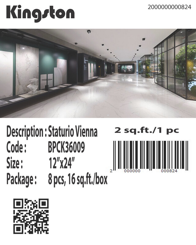 BPCK36009 STATURIO VEINNA (12X24)
