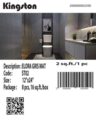ST02 (12X24) ELORA GRIS MATT