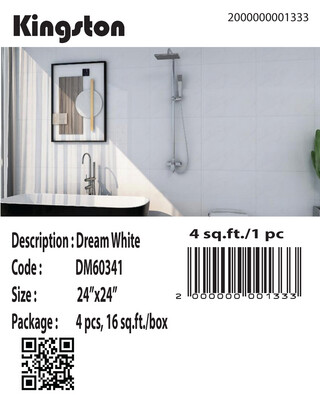 DM60341 (24X24) DREAM WHITE