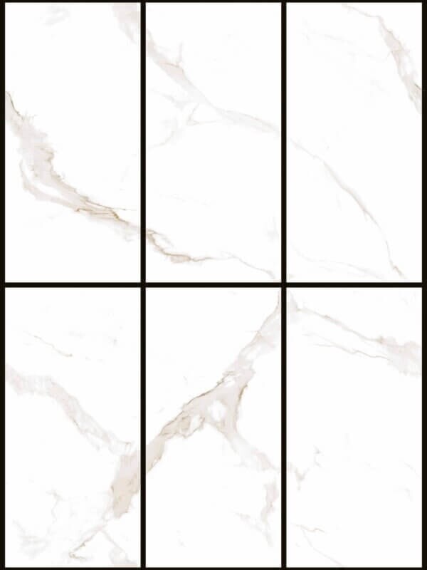 D5 L12705(BPCK1289)