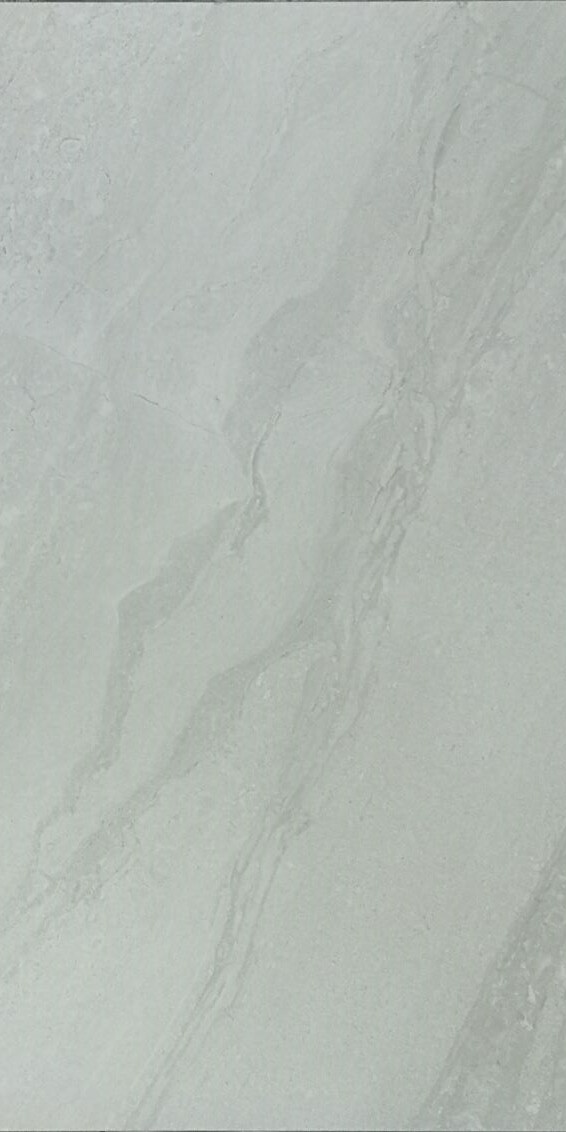 36M0633H WASAGA SAND MATTE 12X24