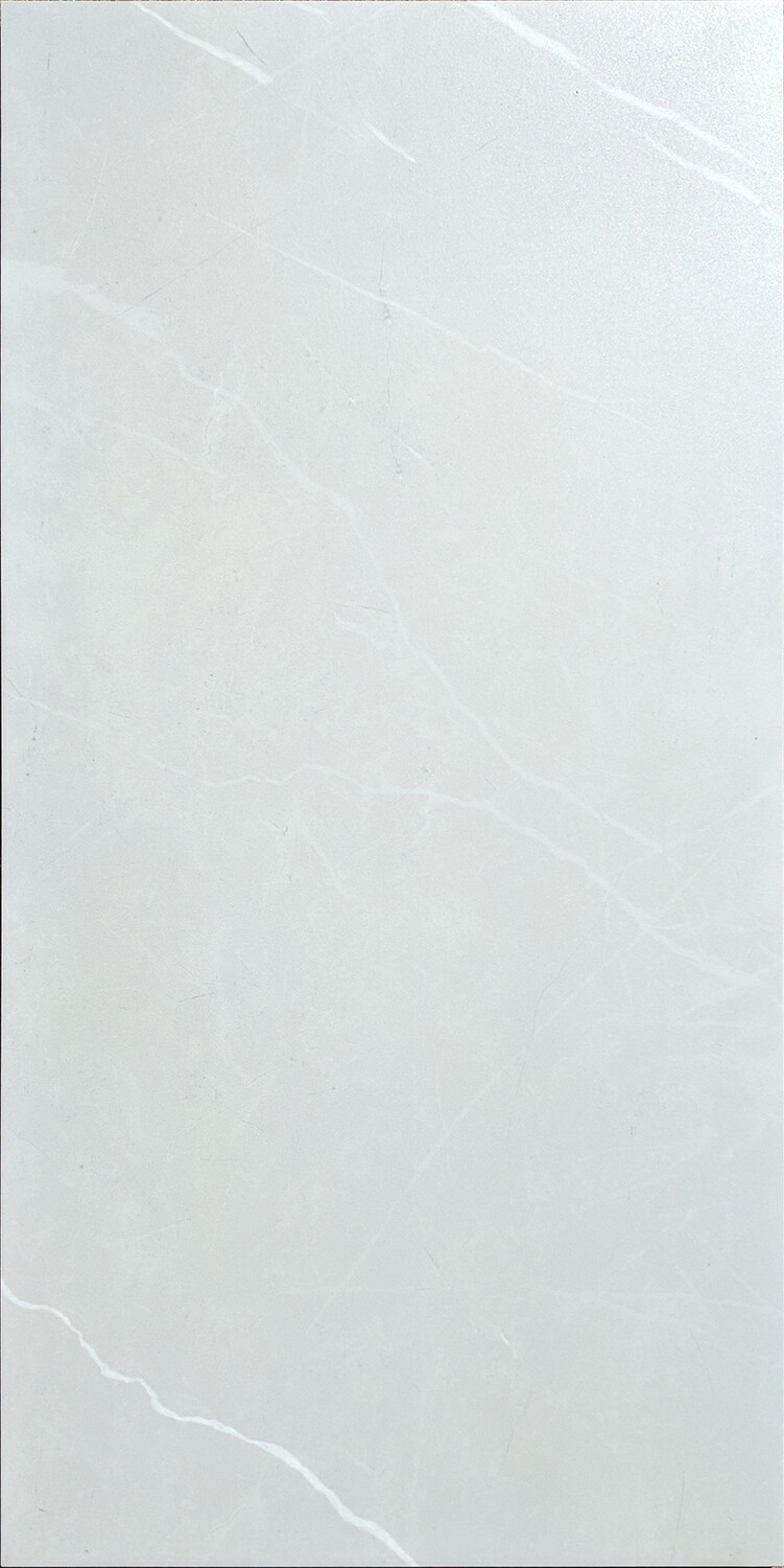 CAMILLA SILVER MATT TE36622R (12X24)