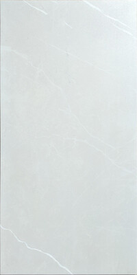 CAMILLA SILVER MATT TE36622R (12X24)