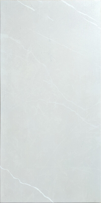 CAMILLA SILVER MATT TE36622R (12X24)