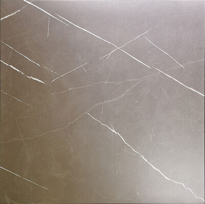 TE65628 CAMELLIA DARK  24X24