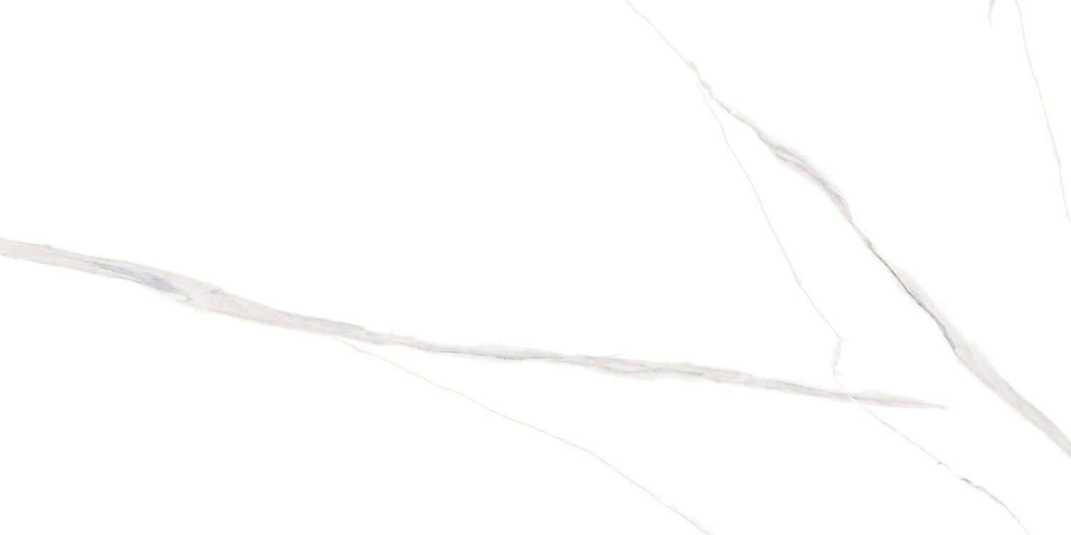 TE12690P (24X48) ICEBERG WHITE LAPPATO