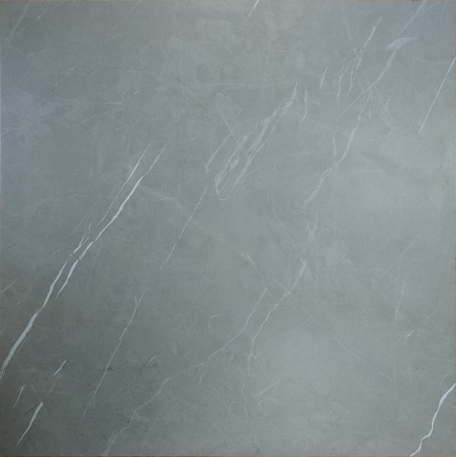 CAMELLIA GRIS(24X24)