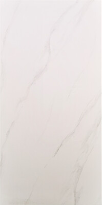 DM12341 (24X48) DREAM WHITE POL