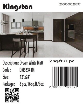 Dream White 12x24  DM36341M