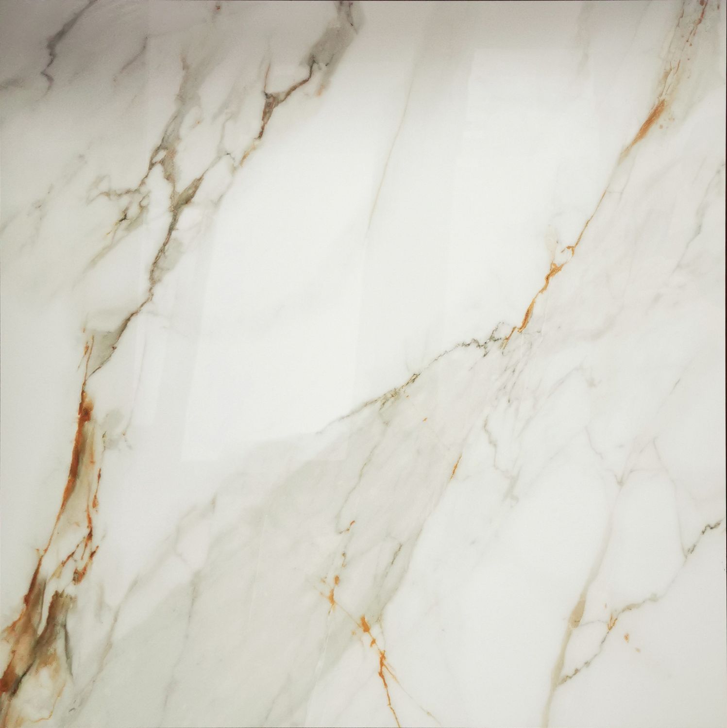 BPCK6066 CALACATTA GOLD [24×24] Polished Porcelain Tile