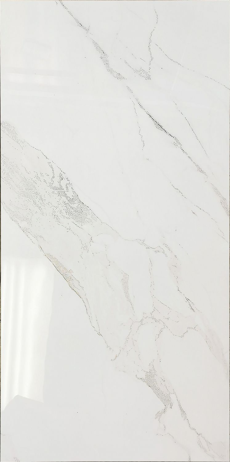 BPCK1280 Calacatta Platinum 24x48