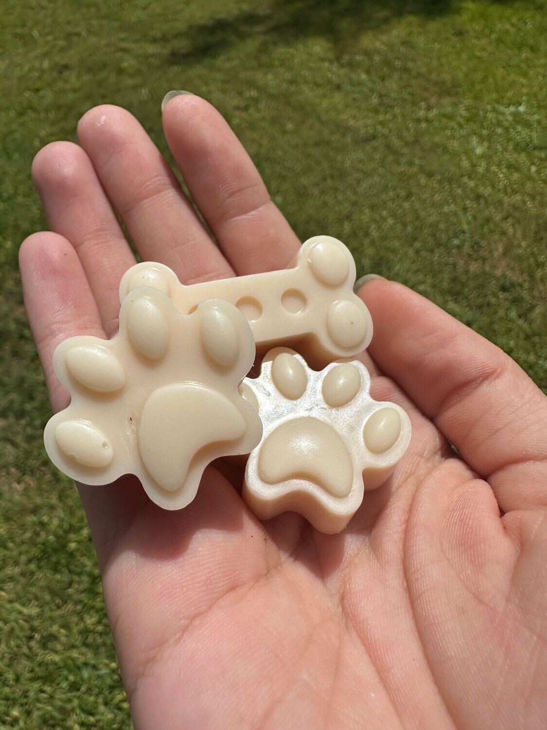 Dog and Bones Wax Melts