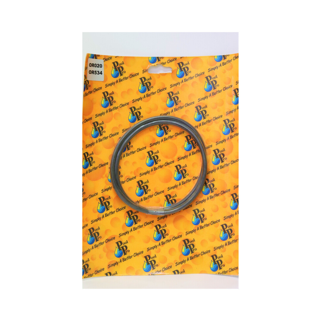 Pool Pro Lid O Ring - OR020, OR534