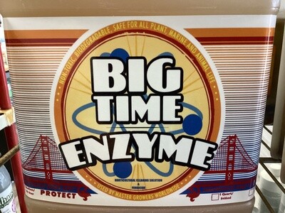 Big Time Enzyme