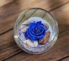 Rosa eterna azul, en cúpula más decoración