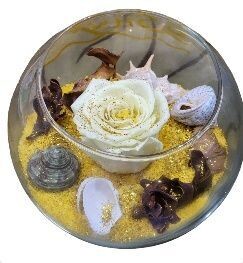Rosa eterna en cúpula, varios diseños  disponibles para los orishas.