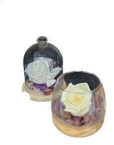 Rosa eterna decorativa. Varios colores disponibles.