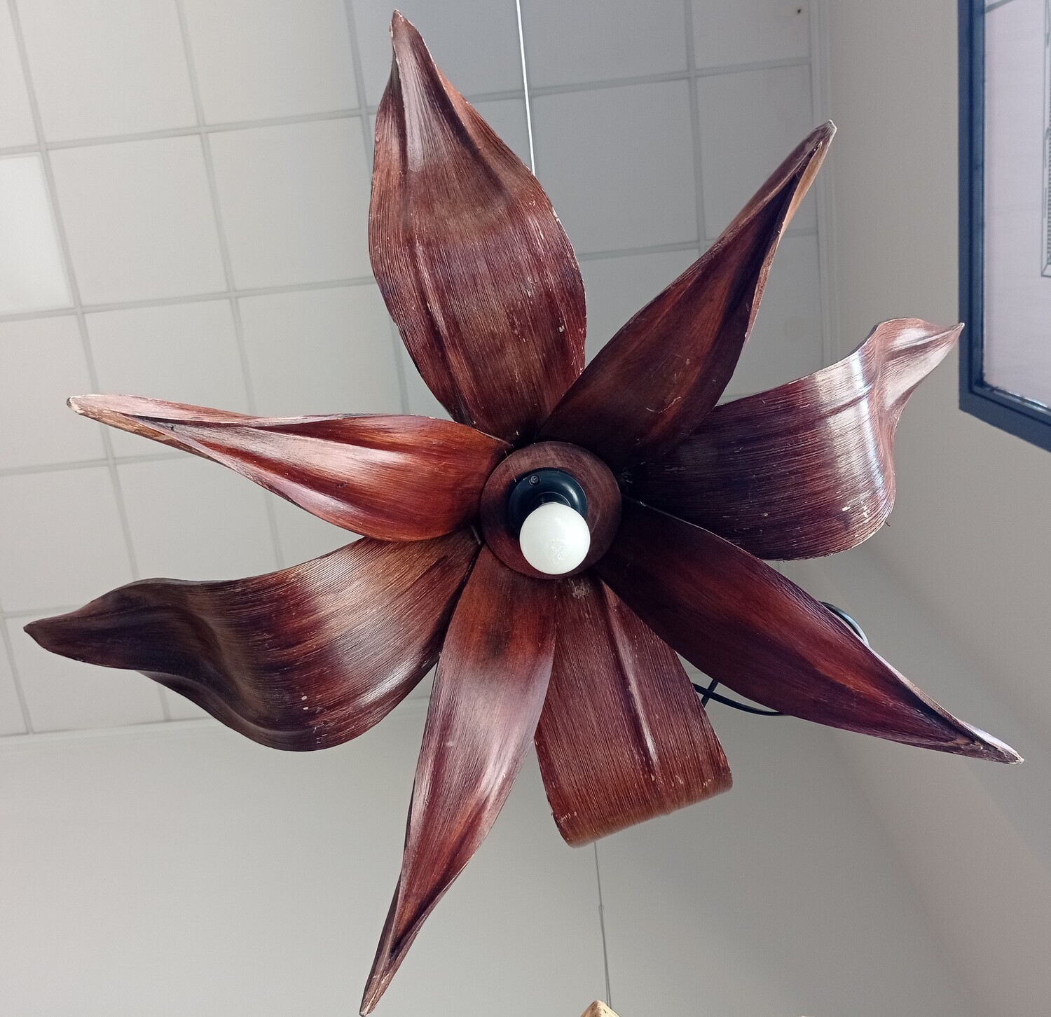 Lampara de coco