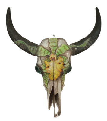 Cabeza de búfalo