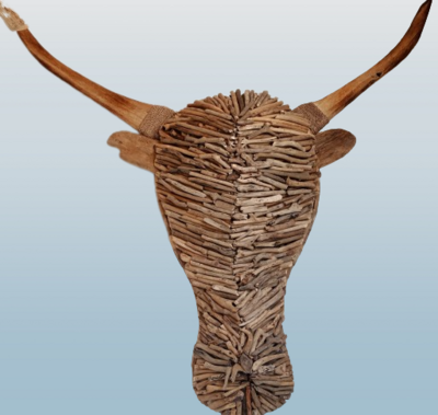 Bull Head  (CABEZA BUFALO)